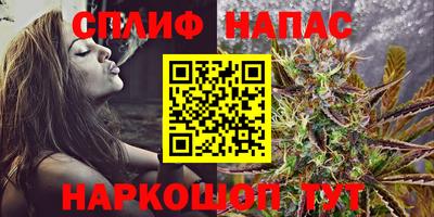 альфа пвп Заводоуковск