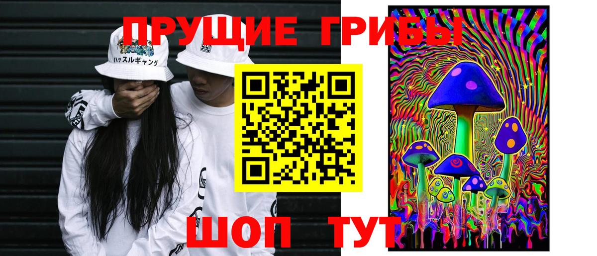 Галлюциногенные грибы прущие грибы  сколько стоит  Карасук  Вход с VPN 